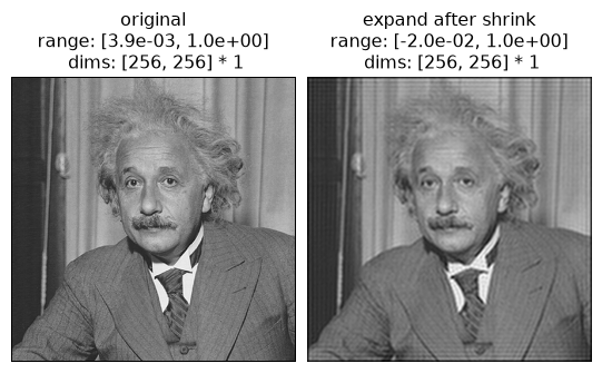 ../../_images/plenoptic-process-shrink-3.png
