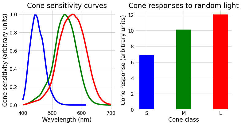 _images/conceptual_intro_cones.png