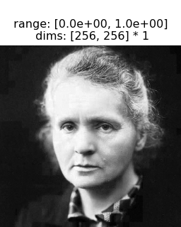 ../../_images/plenoptic-data-curie-1.png