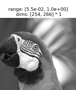 ../../_images/plenoptic-data-parrot-1.png