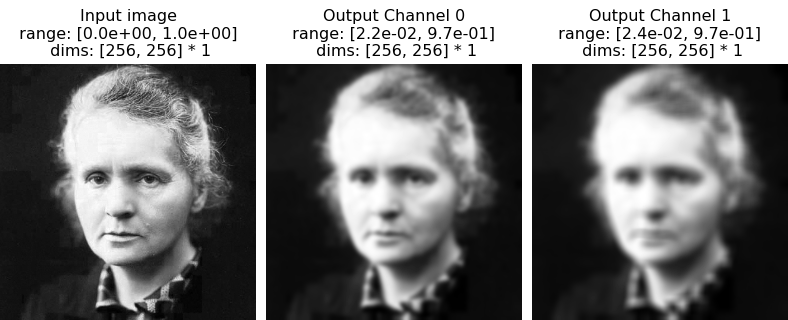 ../../_images/plenoptic-simulate-models-naive-Gaussian-2.png