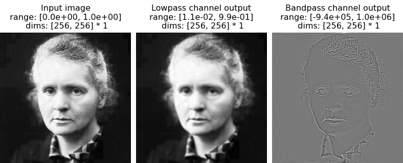 ../../_images/plenoptic-simulate-models-naive-Linear-1.png