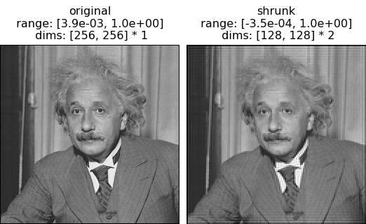 ../../_images/plenoptic-tools-signal-shrink-1.png